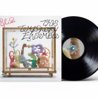 9m88 / 暫時集合2 (黑膠)