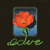 椅子樂團The Chairs / Real Love Is…