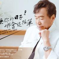 吳木/無你的日子那會這孤單(DVD原聲原影卡拉伴唱)