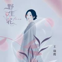王瑞霞/野生花