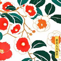 COLD DEW / 臺北人文地景