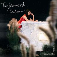 罗妍婷 / Tumbleweed from nowhere
